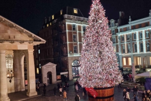 London: Weihnachtslichter-Rundgang in kleiner Gruppe