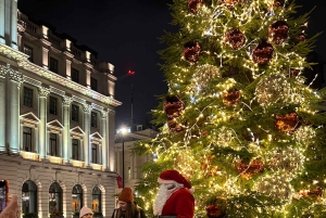 Tour particular de carro pelas luzes de Natal de Londres
