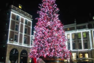 London: Privat tur med julbelysning med ikonisk London-taxi