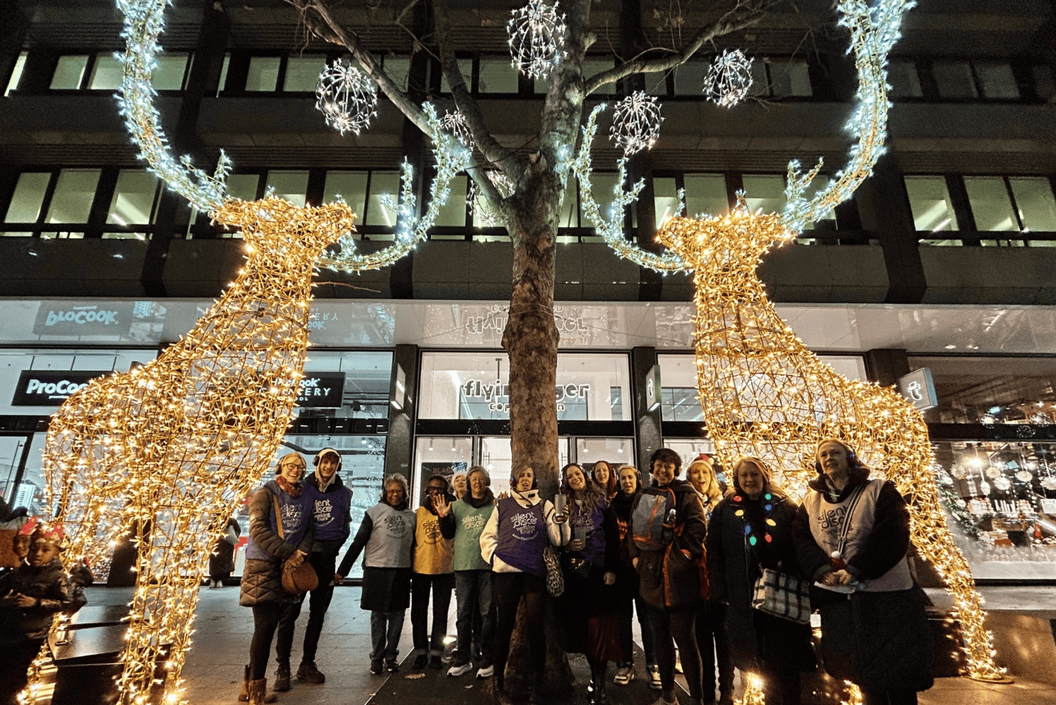 London: Christmas Lights Tour - With Christmas Music