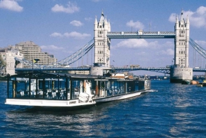 Londres: Tour de la ciudad con la catedral de San Pablo y paquete de aperitivos