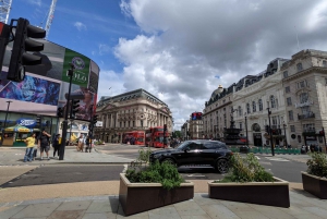 Londen: privétour op maat met de auto
