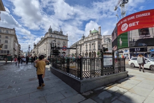 Londres : Visite privée personnalisée en voiture