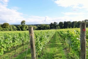 London: Engelsk heldagstur i vin med frokost