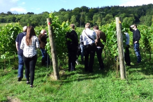 London - en heldag Dagsutflykt med engelska viner och lunch