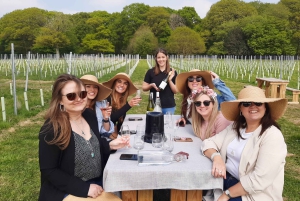 London - en heldag Dagsutflykt med engelska viner och lunch