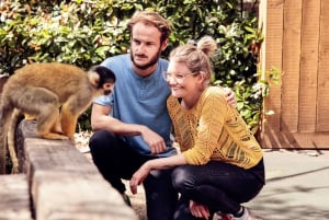 London: Go City Explorer Pass® - Tickets for 2-7 Attractions