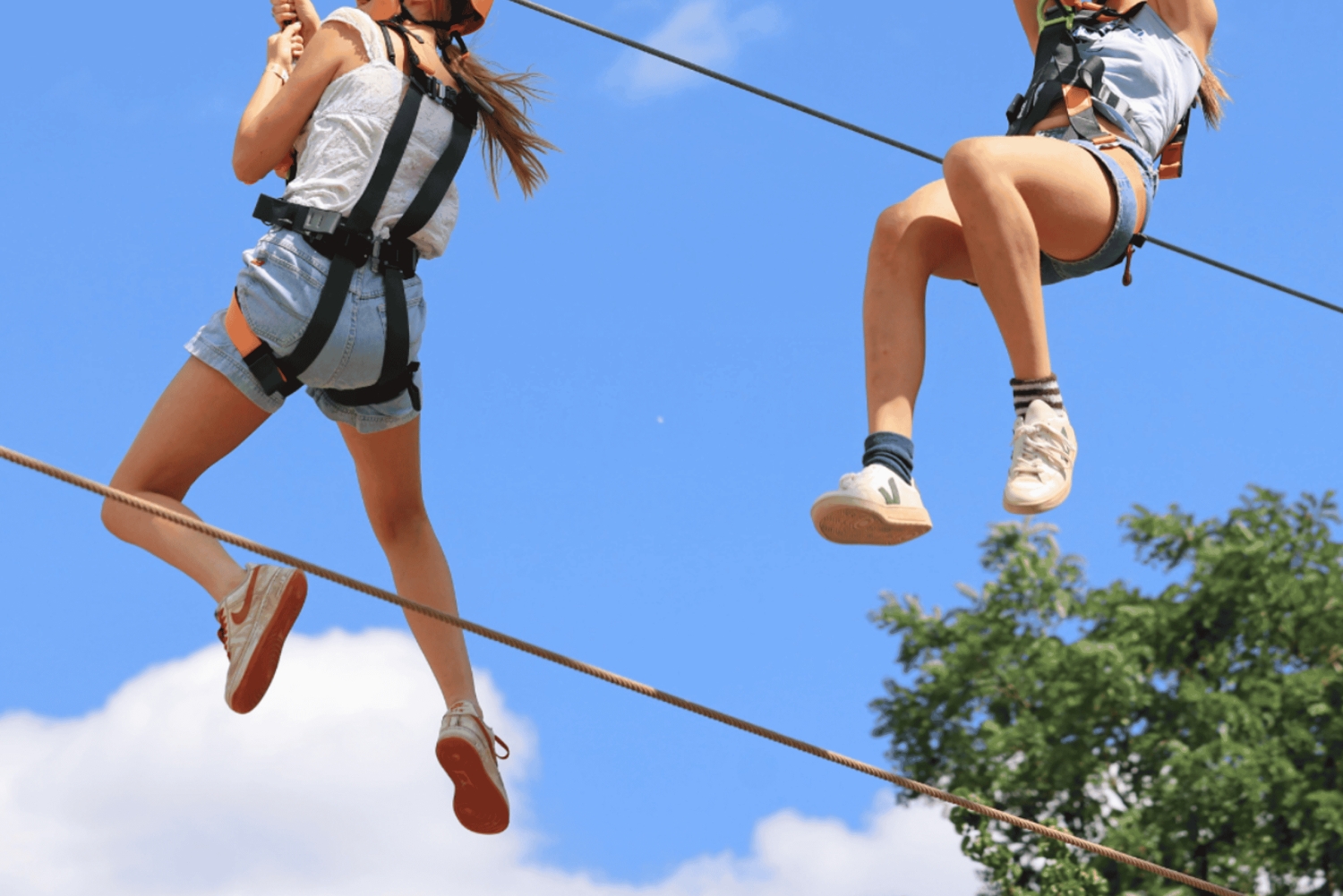 Londyn: Karnet wstępu All-Inclusive do Gripped Aerial Park