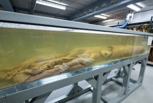 Londra: Tour guidato delle meraviglie naturali