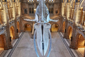 Londra: Tour guidato delle meraviglie naturali