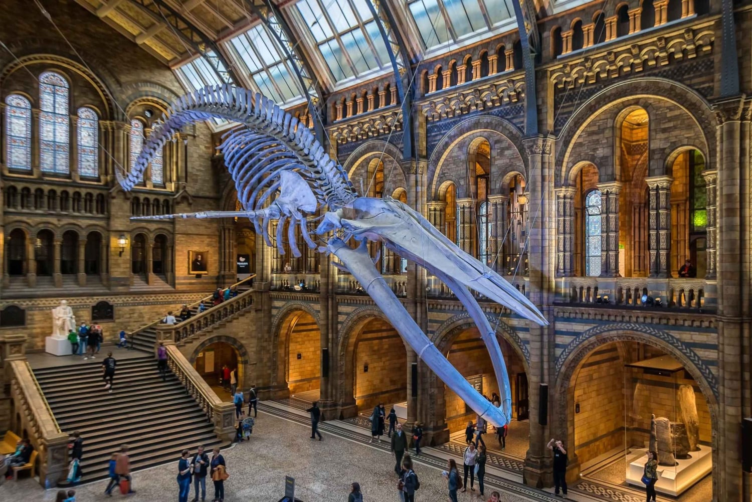 London: Guided Tour of the Natural History Museum