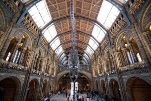 London: Guided Tour of the Natural History Museum
