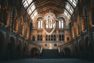 London: Guided Tour of the Natural History Museum