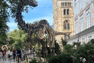 London: Guided Tour of the Natural History Museum