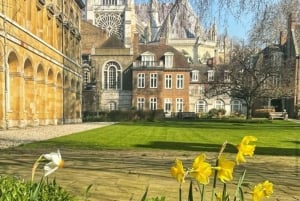 Londen: Begeleide wandeltour met wisseling van de wacht