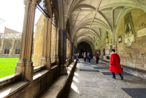 Londres: excursão guiada à Abadia de Westminster e bebidas
