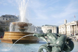 Tour con autista privato di mezza giornata a Londra