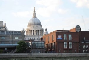 Visite guidée privée d'une demi-journée à Londres avec chauffeur