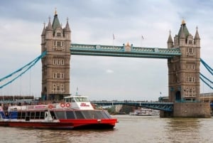 Londen: Harry Potter-tour, riviercruise en de London Dungeon