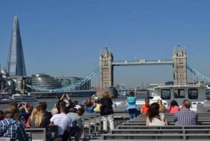 Londres: Excursión a Harry Potter, crucero por el río y las Mazmorras de Londres