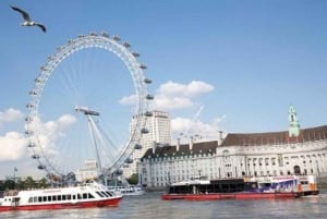 Londres: Excursión a Harry Potter, crucero por el río y las Mazmorras de Londres