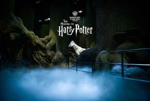 London: Harry Potter Warner Bros. Studio Tour med transfer