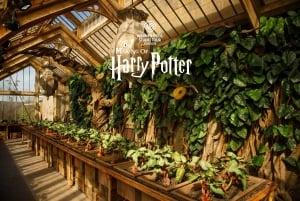 London: Harry Potter Warner Bros. Studio Tour med transfer