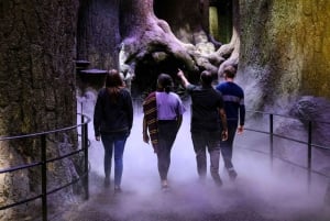 London: Harry Potter Warner Bros. Studio Tour med transfer