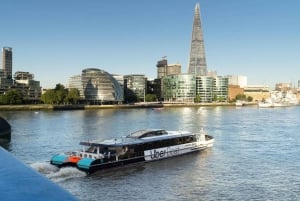 London: Hop-On Hop-Off 1-dagars River Sightseeing-äventyr