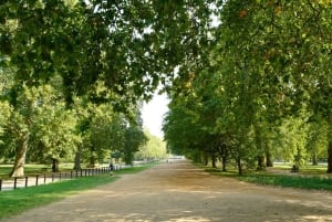 ロンドン：テムズ川クルーズ付きホップオン・ホップオフパス 24時間