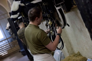 London: Household Cavalry Museum, inträdesbiljett