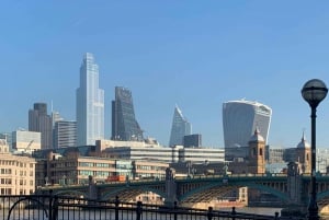 London: Iconic London Taxi Tour - Private 3 hour tour