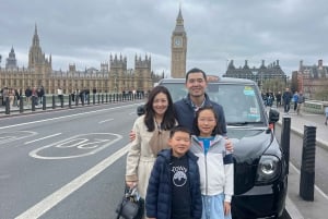 London: Iconic London Taxi Tour - Private 3 hour tour