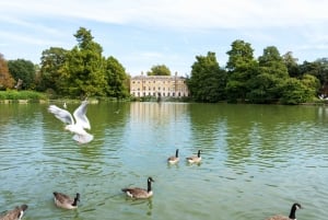 Londyn: Bilet wstępu do Kew Gardens