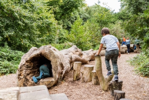 ロンドン：キューガーデン入場券