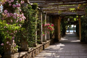 Londres : excursion au château de Leeds et au château de Hever avec billets