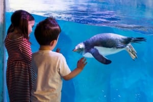 Londres: Madame Tussauds, SEA LIFE e London Dungeon Entry