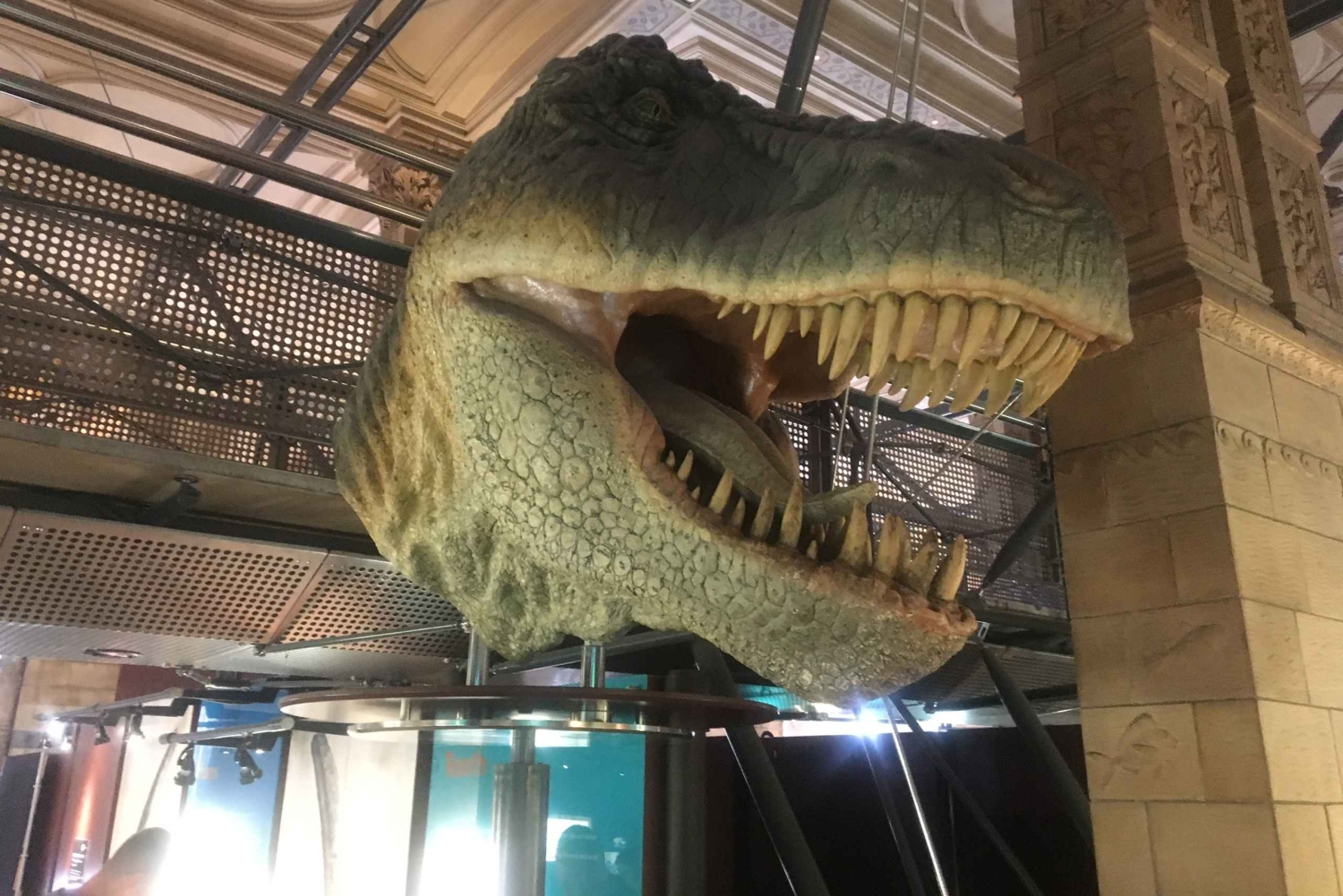 London: Inngangsbillett til Natural History Museum og omvisning