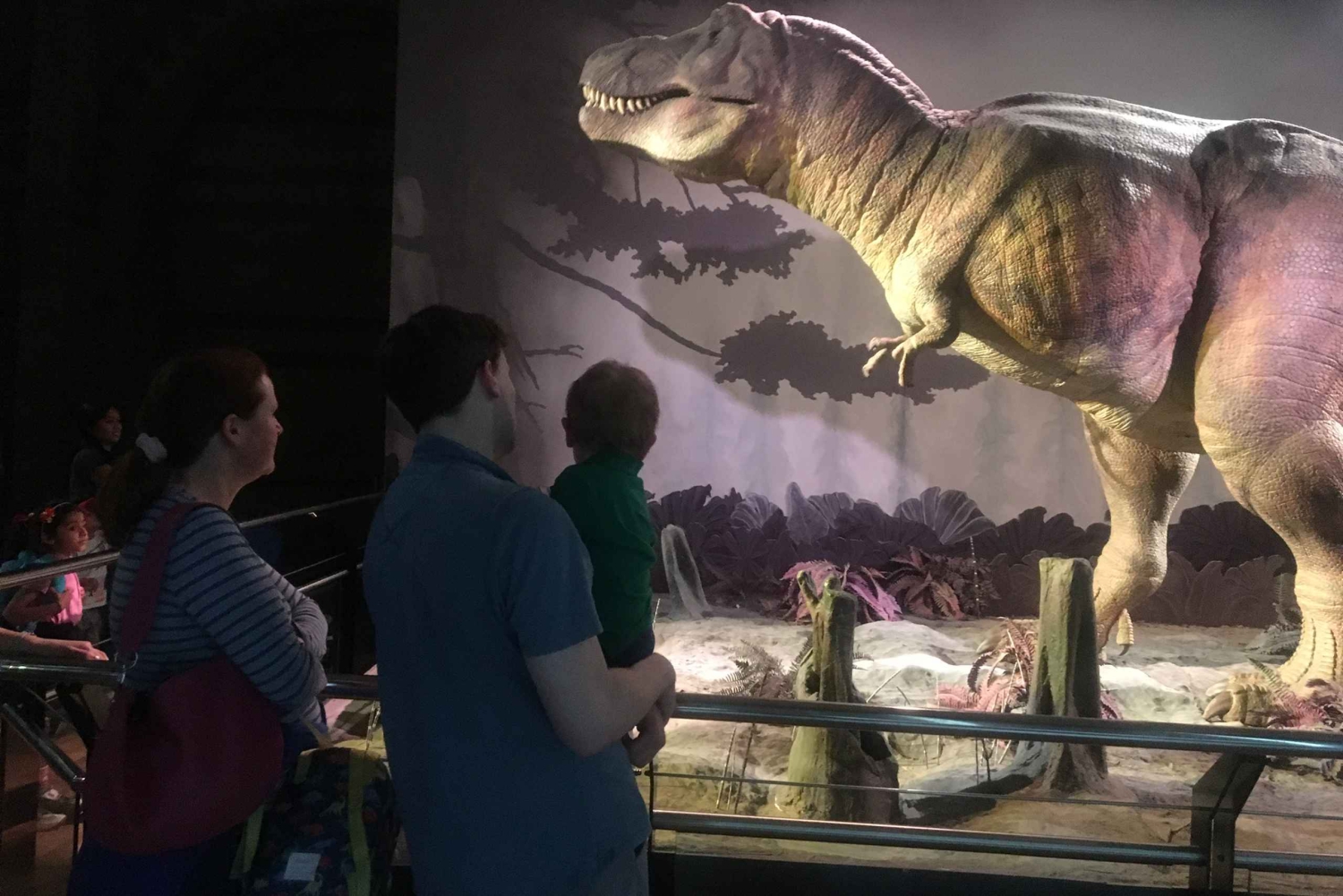 London: Inngangsbillett til Natural History Museum og omvisning