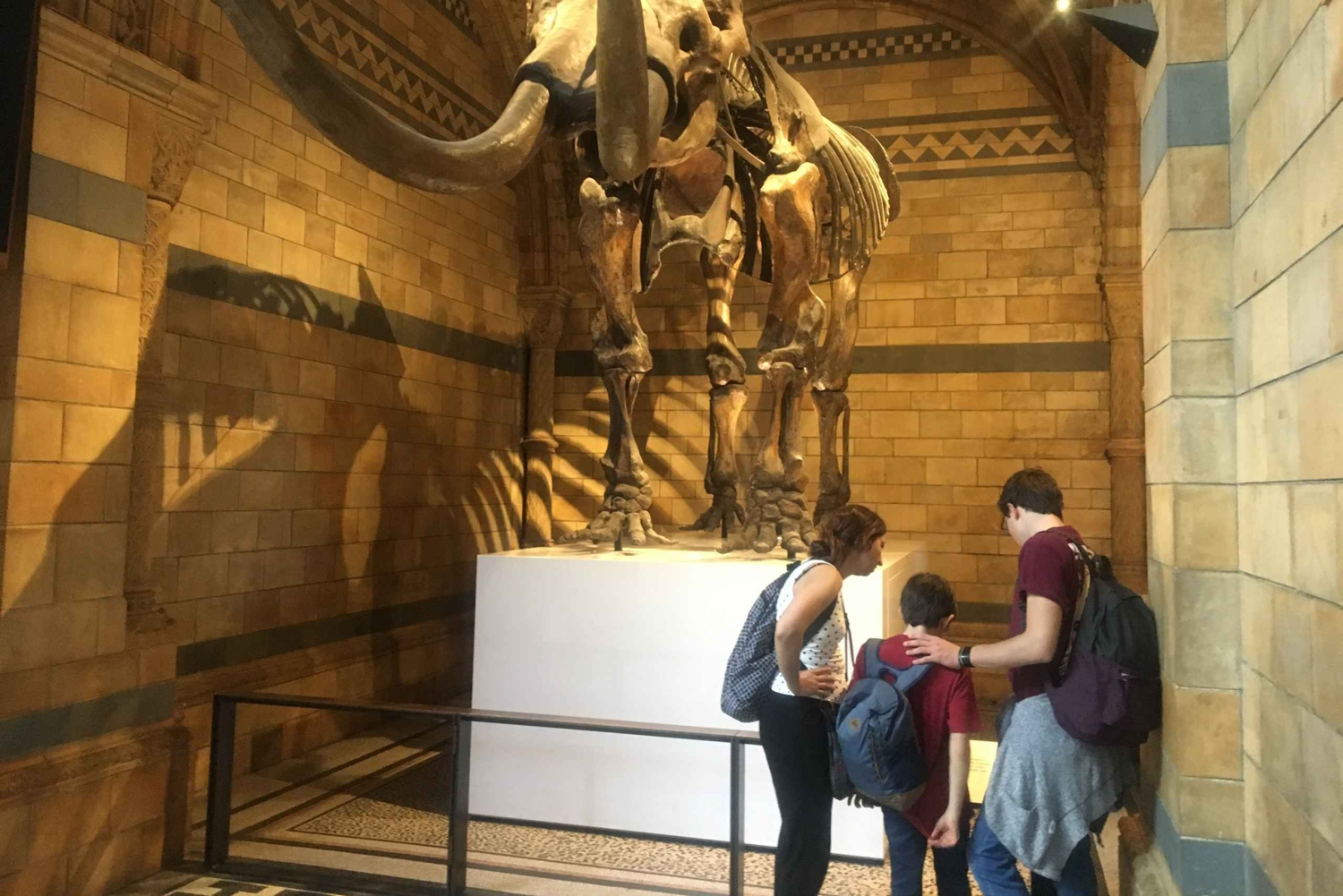 London: Inngangsbillett til Natural History Museum og omvisning