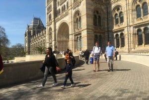 London: Eintrittskarte und Führung durch das Natural History Museum