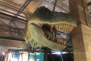 Lontoo: Natural History Museum Pääsylippu ja opastettu kierros