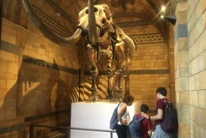 Londyn: Bilet wstępu do Muzeum Historii Naturalnej i wycieczka z przewodnikiem