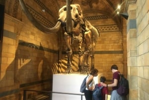 Londen: Toegangskaartje Natural History Museum en rondleiding