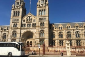 London: Adgangsbillet til Natural History Museum og guidet tur