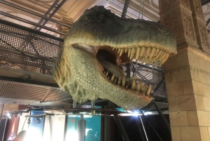 London: Inngangsbillett til Natural History Museum og omvisning