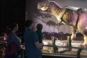 London: Inngangsbillett til Natural History Museum og omvisning