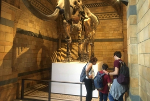 London: Inngangsbillett til Natural History Museum og omvisning