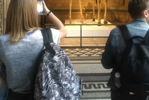 London: Inngangsbillett til Natural History Museum og omvisning