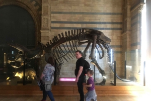 London: Inngangsbillett til Natural History Museum og omvisning